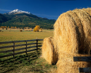 OR16 Wallowa Valley 0091