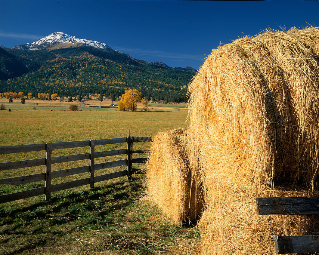 OR16 Wallowa Valley 0091