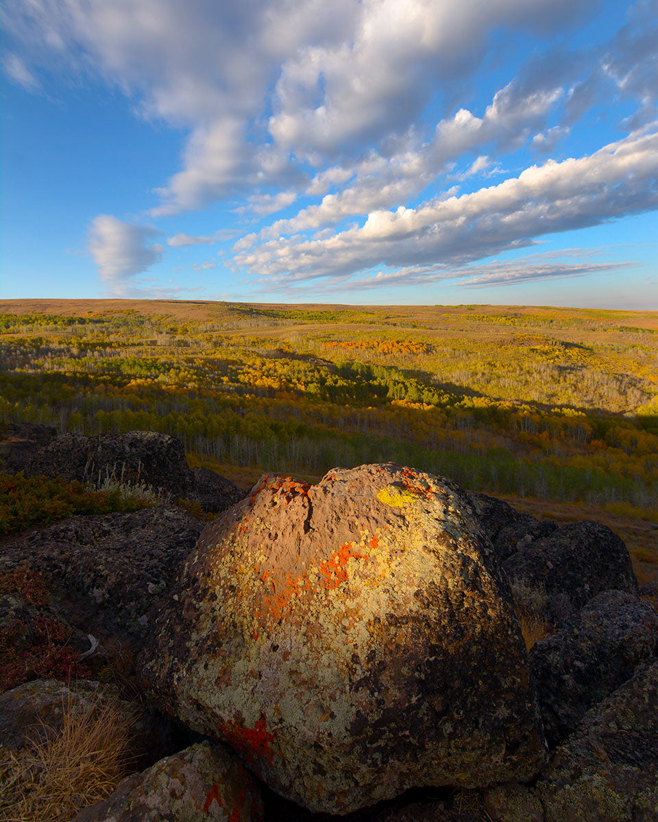OR18 Lichen Steens Mountain Scenic Byway 9472