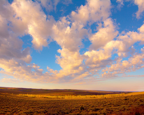 OR18 Steens Mountain Scenic Byway 9503