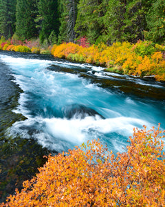 OR20 Wizard Falls Metolius River 0013
