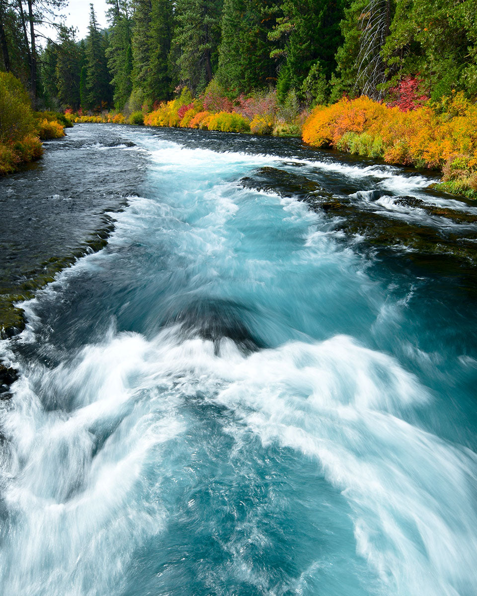 OR20 Wizard Falls Metolius River 0014