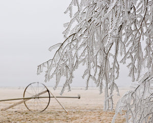 OR33 Frozen Agriculture 0256