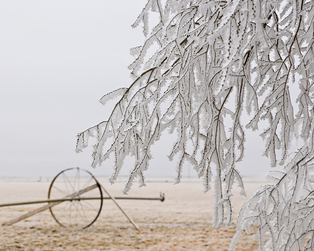 OR33 Frozen Agriculture 0256