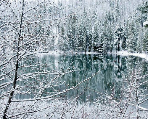 OR33 Suttle Lake 0045