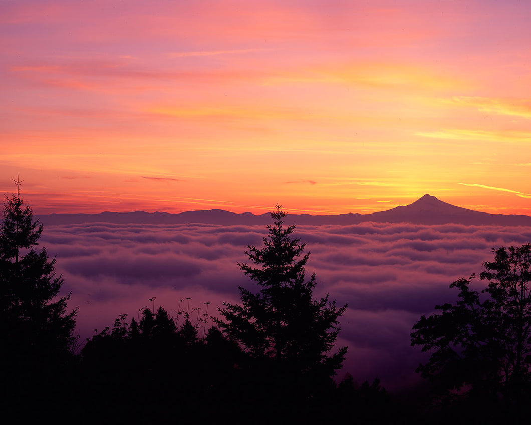 OR33 Winter Valley Fog Mt Hood 1075
