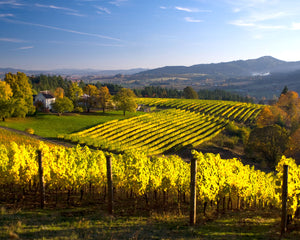 OR40 David Hill Winery 0062