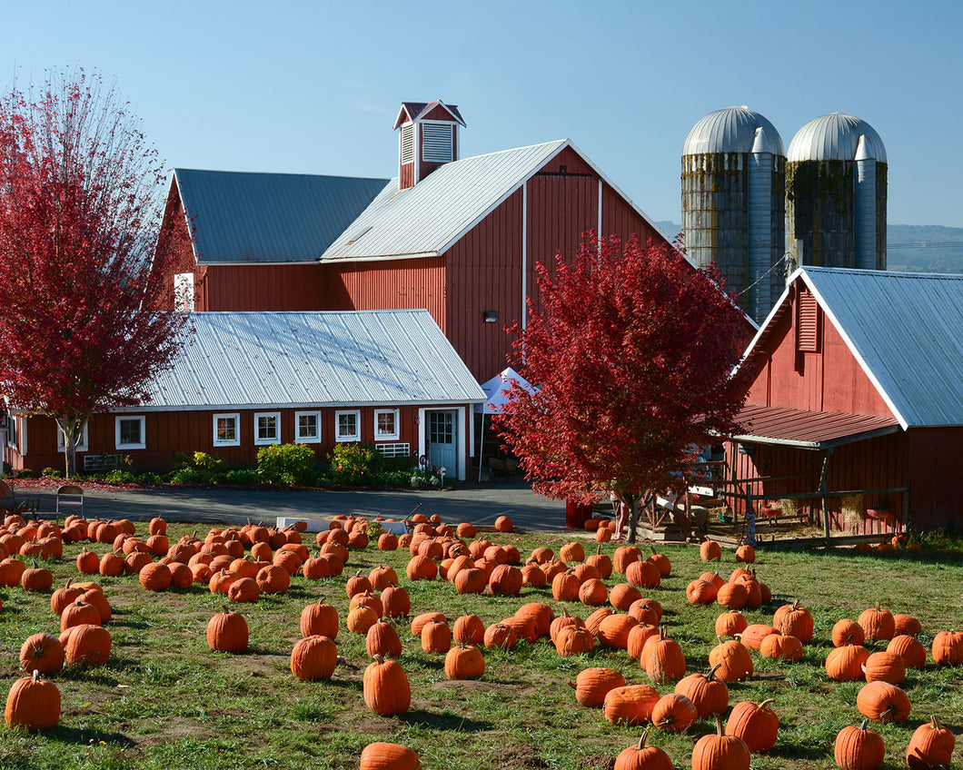 OR40 Oregon Heritage Farm 4663