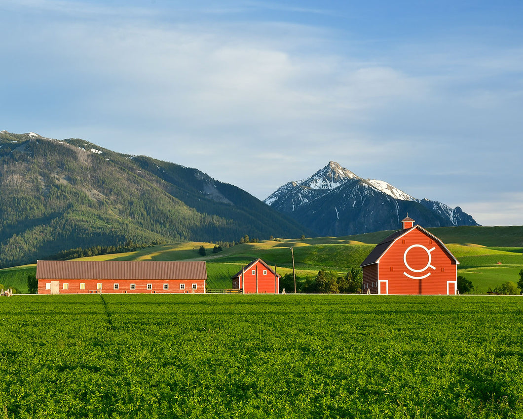 OR40 Wallowa Valley Brennan Ranch 0492