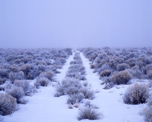 OR52 Snow in Deschutes County 1142
