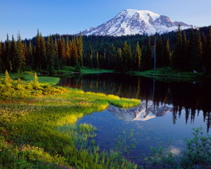 WA04 Reflection Lake Mt Rainier NP 0012